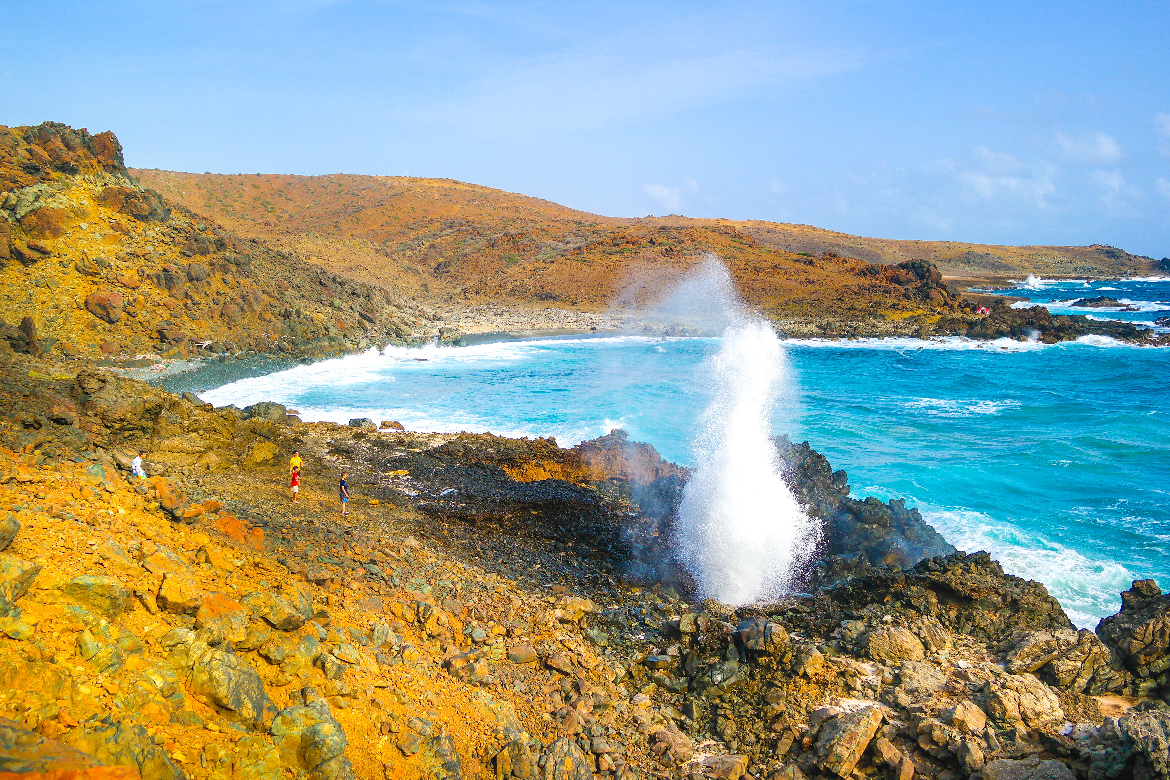Blowhole Copyright by Steve Francees Editorial