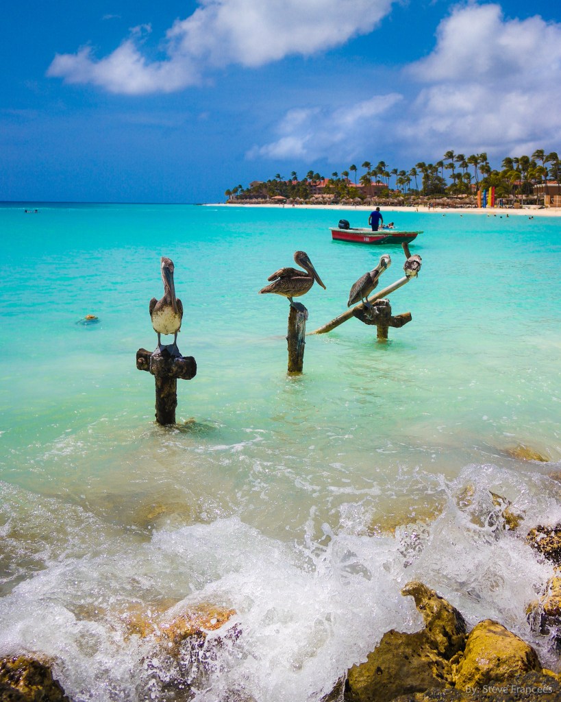 Boca Druif Copyright by Steve Francees Editorial.jpg