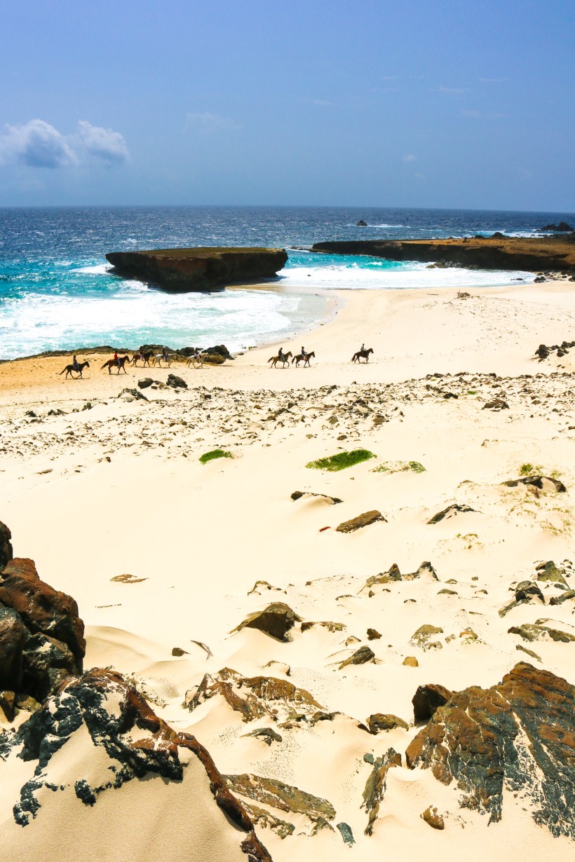 Boca Keto Copyright by Steve Francees Editorial