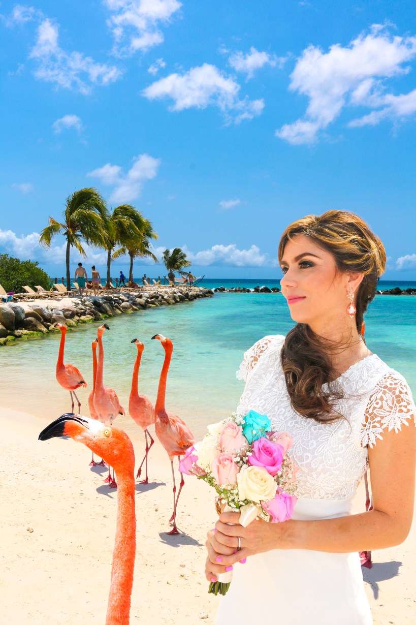 Flamingo Bride GALLERY by Steve Francees-2