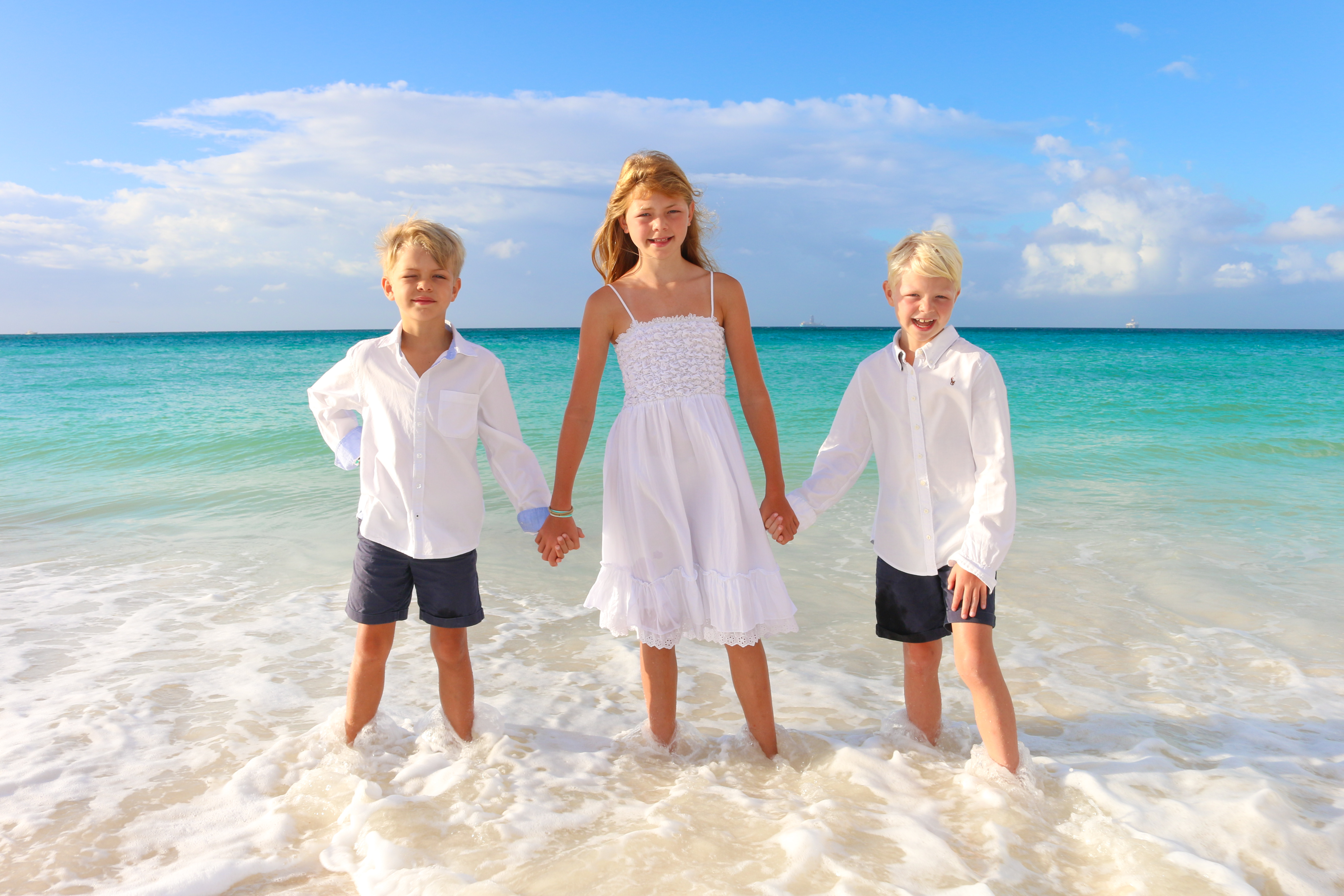 Ljung 11 by Steve Francees