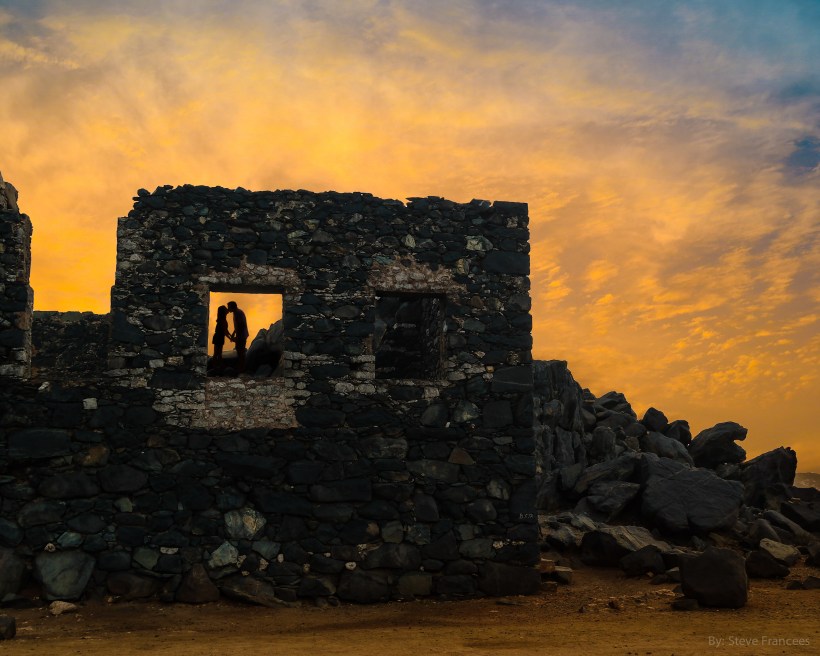 Bushiribana INSTA 1vLove Steve Francees